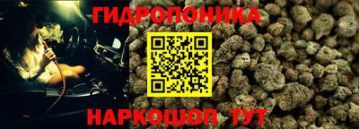 прущая мука Кингисепп