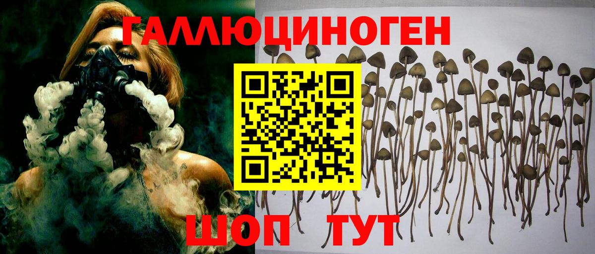 Краснотурьинск  Псилоцибиновые грибы Magic Shrooms  Галлюциногенные грибы прущие грибы  даркнет сайт  Вход с VPN 