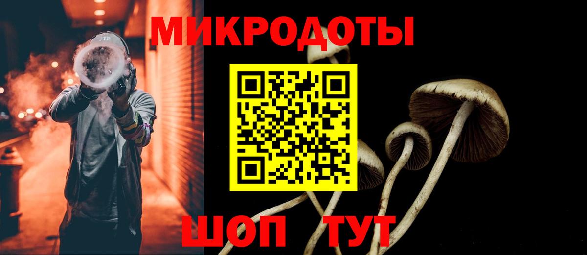 Галлюциногенные грибы Psilocybine cubensis Краснотурьинск